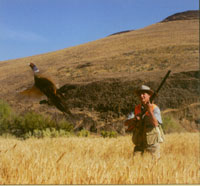 man and pheasant