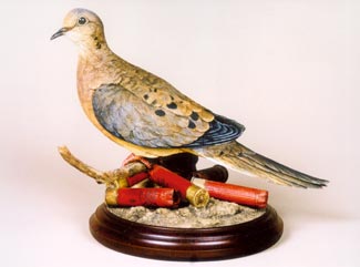 Dove with shotgun shells