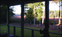 Molly's Pond porch