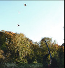 In flight