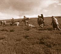 walking in field