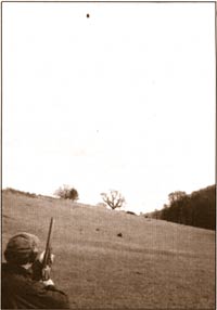 pheasant shoot 3